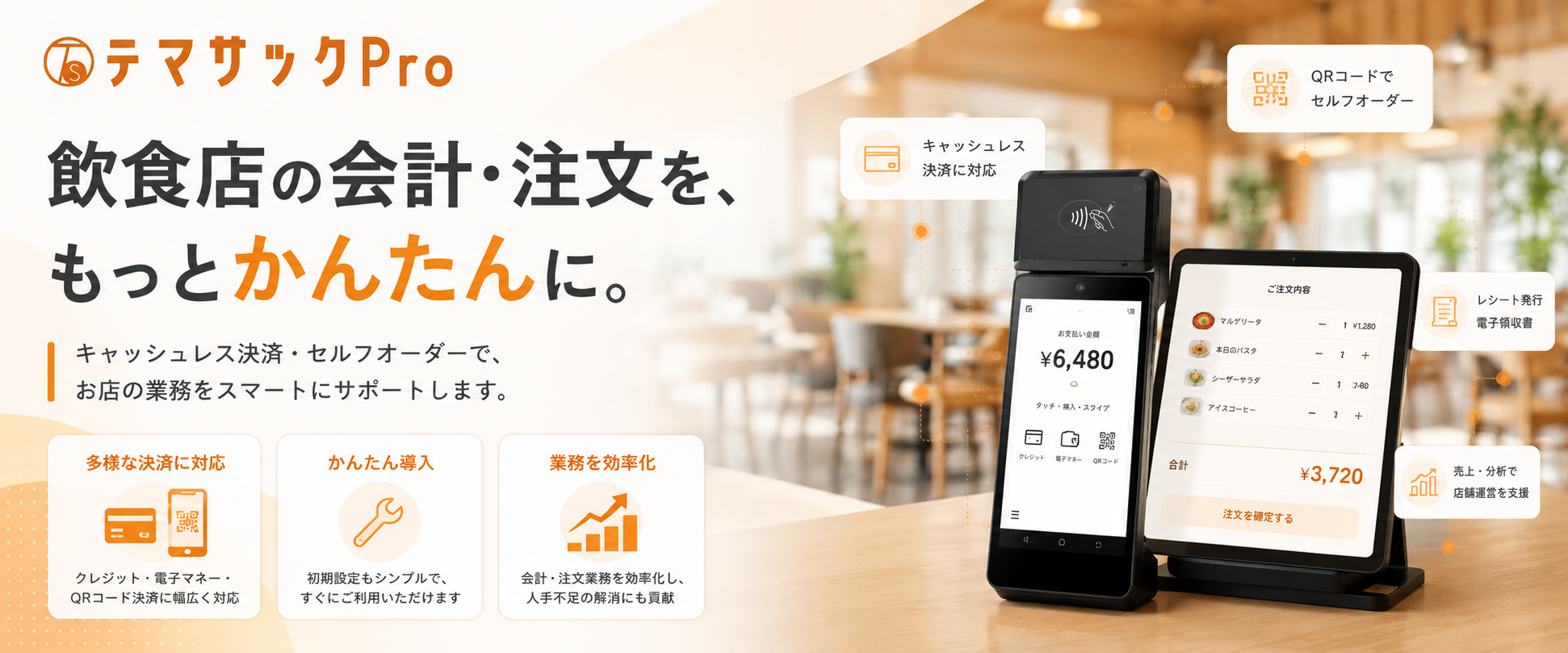 テマサックPro メインビジュアル